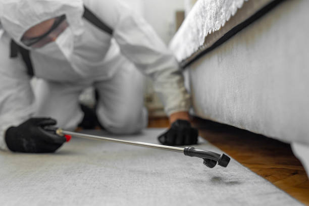 Professional Cockroach Control technician working in Cleveland, MS