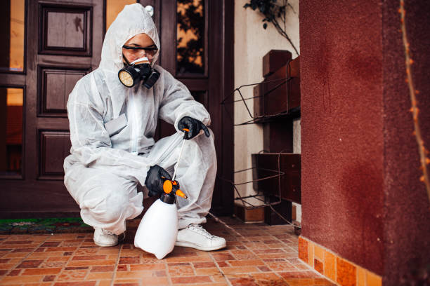 Reliable Cockroach Control contractor in Cleveland, MS by Nex Pest Control